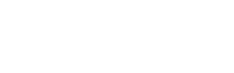 Alliance Group Insurance - Logo 800 White